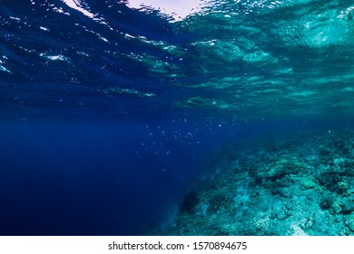 Underwater Rocks With Coral And Fish In Blue Transparent Ocean. National Park Menjangan Island, Bali