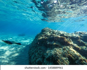 Underwater rocks, sand and stones. The beautiful sandy and rocky bottom of the sea.