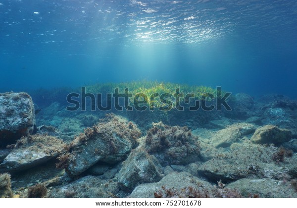 水面 地中海 コスタブラバ スペインを通して自然の日差で海底の水中の岩と海岸 の写真素材 今すぐ編集