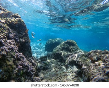Underwater rocks, stones and sand. Sun rays at the bottom of the sea.
