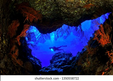 Underwater Saipan Image