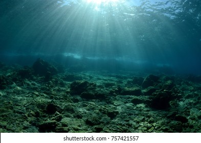 50,474 Underwater scene coral Images, Stock Photos & Vectors | Shutterstock