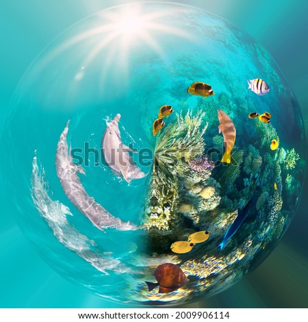 Similar – Image, Stock Photo fisheye Green Buoy Ocean