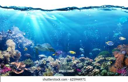 Подводная сцена с риф и тропические рыбы