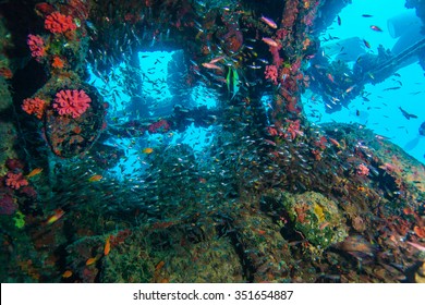 1,020 Inside ship wreck Images, Stock Photos & Vectors | Shutterstock