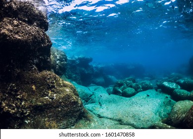 Underwater Scene With Stones Bottom. Tropical Transparent Ocean