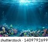coral reef water