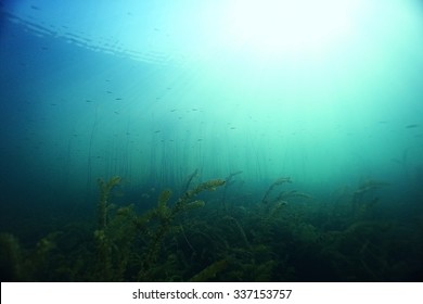 underwater scenery in the river diving