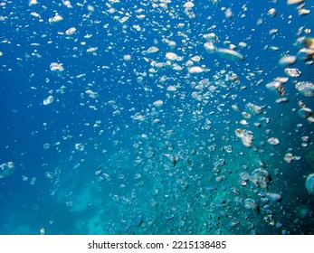 Underwater Scuba Bubbles In Egypt