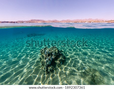 Underwater sea bottom view with half sky