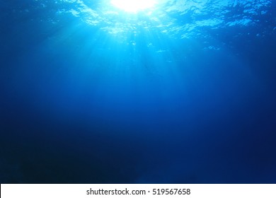 Underwater sea ocean background photo - Shutterstock ID 519567658