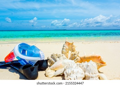 Underwater shells, flippers, and an underwater mask on the sand on the shores of the Indian Ocean. Maldives Islands.