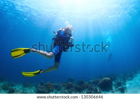 Underwater shoot of a divers swimming in a blue clear water