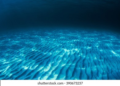 海底 の画像 写真素材 ベクター画像 Shutterstock