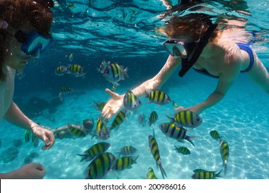 Underwater Shot Of The Couple Snorkeling In Clear Sea With Fish