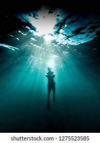Underwater Snorkeling In Key Largo, Florida