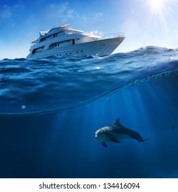 Underwater splitted by waterline postcard template. Bottlenose dolphin swimming under boat