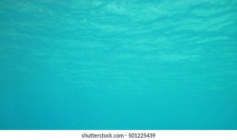 Bottom Sea Stock Photo (Edit Now) 562319452