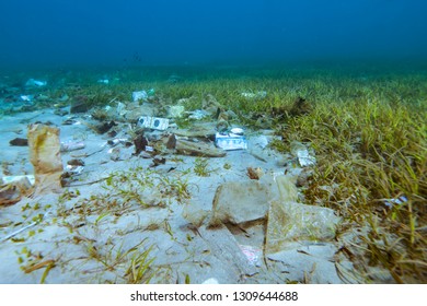 Underwater Trash Plastic Pollution - Shutterstock ID 1309644688