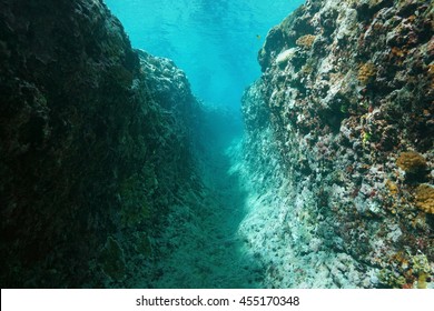 Underwater Trench Into The Outer Reef, Pacific Ocean, French Polynesia