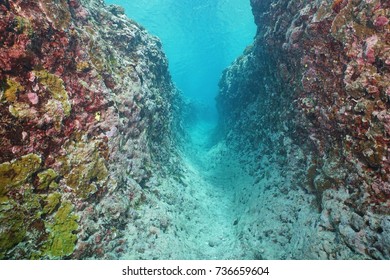 Underwater Trench Into The Outer Reef Due To Natural Erosion, Huahine Island, South Pacific Ocean, French Polynesia, Oceania