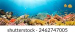 Underwater Tropical Corals Reef with colorful sea fish. Marine life sea world. Tropical colourful underwater seascape.