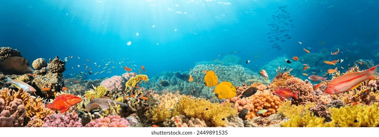 Underwater Tropical Corals Reef with colorful sea fish. Marine life sea world. Tropical colourful underwater seascape. - Powered by Shutterstock