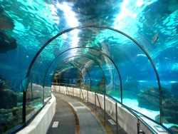 Túnel Submarino