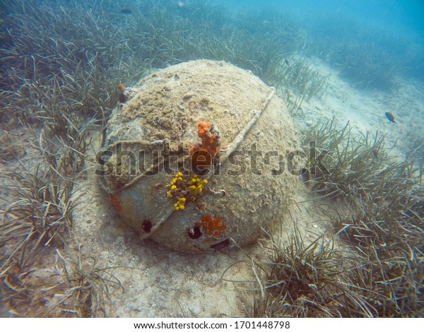 Underwater\
unexplored ship mine on the bottom of the\
sea