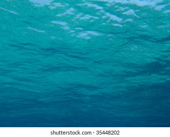 Underwater view