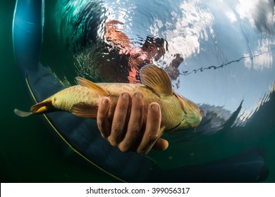 Catching Fish Images Stock Photos Vectors Shutterstock