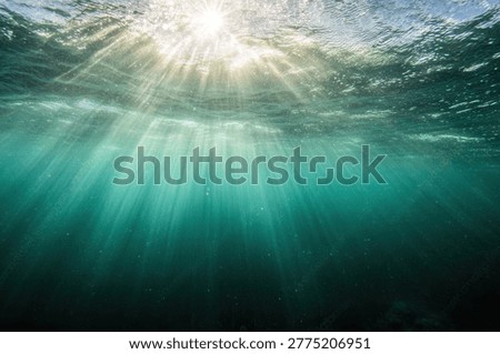 Underwater view of sunlight streaming through the ocean surface, creating beautiful light rays and a serene, aquatic atmosphere. The water is clear and inviting.