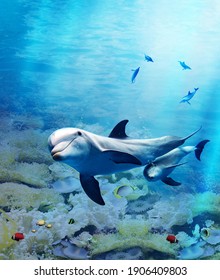 Underwater world. Images for self-leveling 3d floor. Dolphin. Corals. Top view. - Shutterstock ID 1906409803