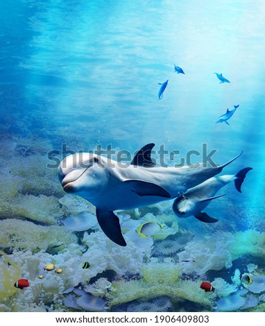 Underwater world. Images for self-leveling 3d floor. Dolphin. Corals. Top view.