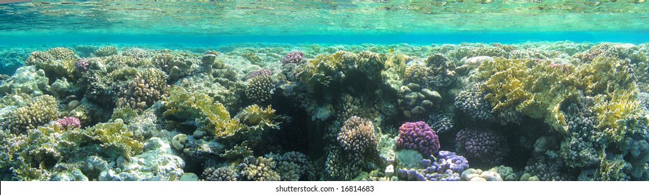 The underwater world and sunlight