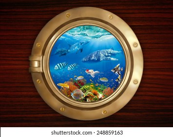 Underwater world, viewed through the porthole