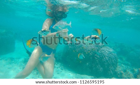UNDERWATER: Young woman diving in the ocean and observing the bleached coastal reef feeds tropical fish. Traveler feeding fish during a snorkeling trip. Devastating impact of global warming on corals