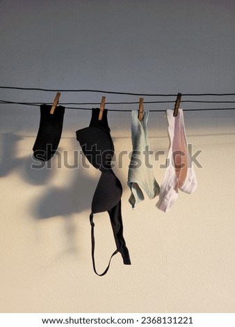 underwear bra garment panties clothes line