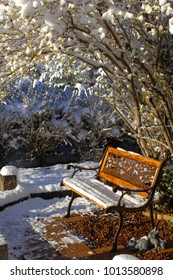 Undisturbed Snow Covers Bench Seat In Garden.  Winter Snow Covers Tree And Branches Hanging Overhead.