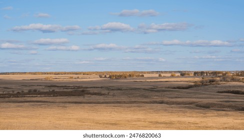Undulating fields stretch towards a distant line of trees resplendent with autumn's fiery palette, under a sky streaked with soft clouds.