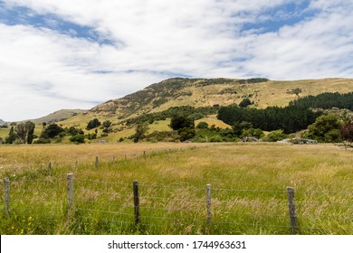 Undulating Hills Of The Canterbury/Akaroa Region, Seen From Little River, New Zealand