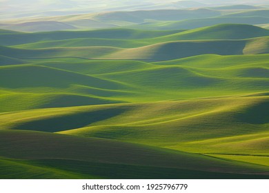 Undulating, rolling green wheat fields of the Palouse area of Washington state in spring
