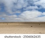 Unedited, vast, barren desert under a partly cloudy sky, with sparse bushes dotting the sandy terrain. minimalist, evoking solitude, perfect for themes of isolation or environmental concepts.