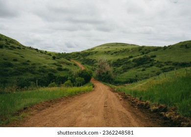 Unending pathways in a Northern Wyoming countryside ranch on an overcast summer day with green grass and rich reddish dirt road, with a cinematic and film-like color grade