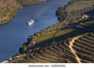 UNESCO World Heritage, a Cruise in Douro River, Vineyards Valley in Vila Nova de Foz Coa, Portugal.