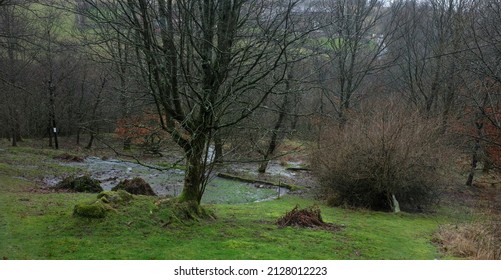 Unexpected Emergence Of Usually Dormant Spring After Continuous Heavy Rain