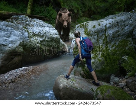 Unexpected encounter of a woman hiker with a grizzly bear at a river crossing in a canyon, mixed media, conceptual shot of the dangers in the wilderness
