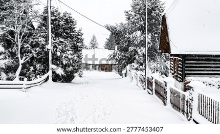 Unexpected snowing in spring vilage