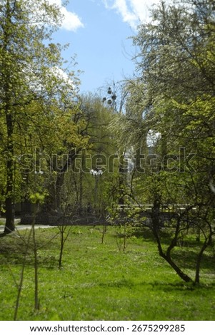 Unexpected  views in Kyiv polytechnic park