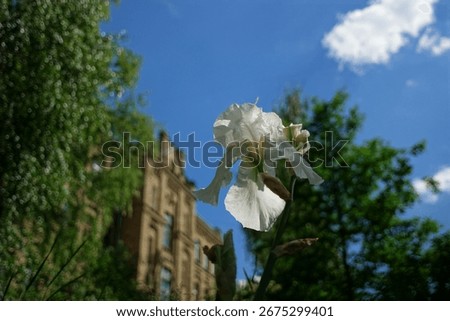Unexpected  views in Kyiv polytechnic park